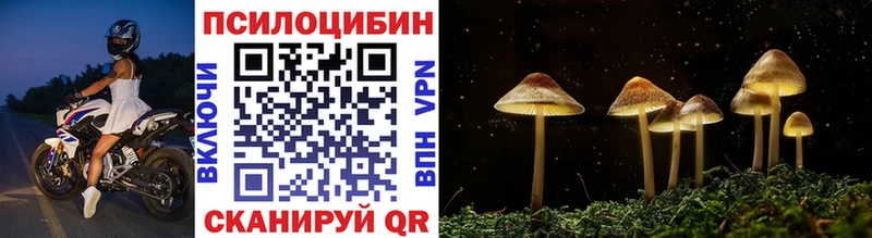Псилоцибиновые грибы Cubensis  Знаменск 
